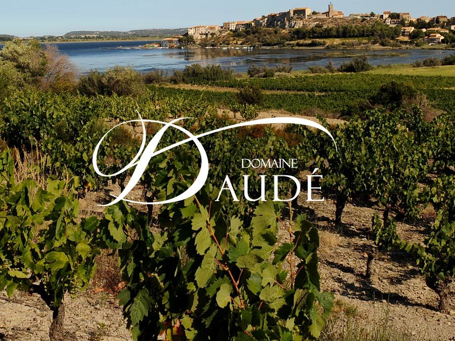 DOMAINE DAUDE – SITE INTERNET ET PAGE FACEBOOK