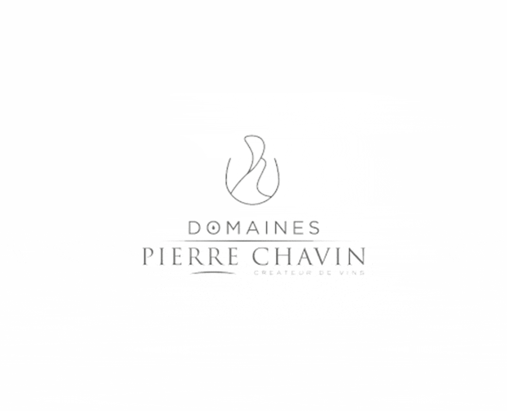DEFACTO Design de marque - Logo Chavin
